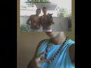 Dodo Play VaGaBoNdS Dodo Play VaGaBoNdS