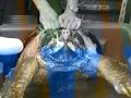 turtle bite