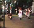 Złocienie - Krakowiak (Połczyn Zdrój)