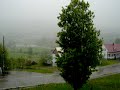 THUNDER BIRD ORAGE