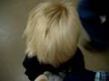 videos de Drop him off a boy... Pick him up a girl lol