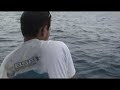 8 KG amberjack on live calamar - Freedom Team 8 KG amberjack on live calamar - Freedom Team