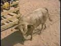 Encierros Samora Correia 2001