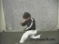 Afro Ninja