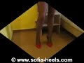 Sofia in sexy italian high heeled pumps