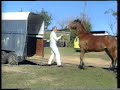 John Pinnell Master Horseman \ John Pinnell Master Horseman \