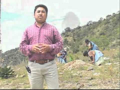 Ver Video