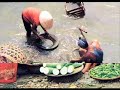 Bonjour Vietnam - Quynh Anh