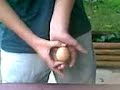 Jak wygrać zakład z jajkiem