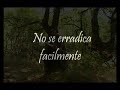 La sangre bajará con el Deshielo