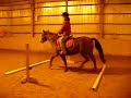 trot over poles.MOV trot over poles.MOV