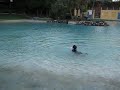 K swiming at Settlement Cove K swiming at Settlement Cove