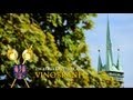Znojemské vinobraní 2011 - oficiální video - HD