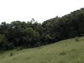 Las Tablas land for sale #1