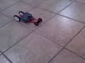 Coche Ecológico (Patricio) Coche Ecológico (Patricio)