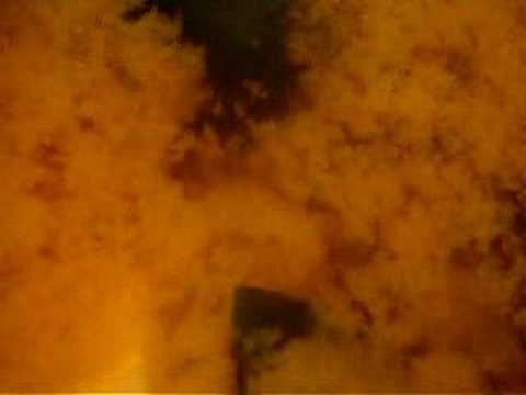 Brownian motion