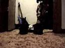 Bloc Party - Blue Light