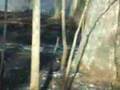 submitted by mecklenburgwebmaster on Sun Oct 19 2008 at 05:17pm