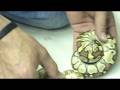 videos de Cleaning 08's - part 4