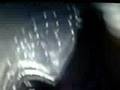 SELENA-VIVE