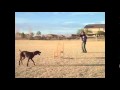 Pogledaj video