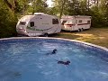 Click here to watch this video 3 mini dachshund going for a swim