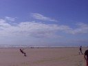 Kite crash