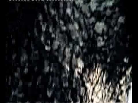 Sakahiter - Triumph of decadence