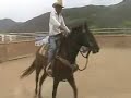 time to move up to the arena