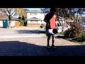 videos de Soccer freestyle clip