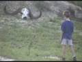 videos de Children at Nkorho with dung beetle