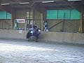 Sultan, mon ange noir !