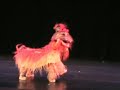Northern Lion Dance Northern Lion Dance