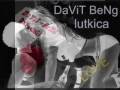 videos de bernat 2009   lu,,,  - davit beng  - ro,,,,