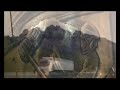 Re: A trip (pick up your head)