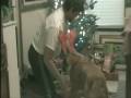 videos de Klub Keihas Christmas Greetings