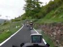 Gavia Gavia