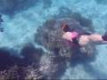 videos de Diving in Bohol, Panglao, Lunch Cruise on River Loboc