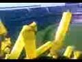 BOCA RIVER APERTURA 2009
