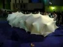 CUC or the cocoon house