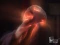 Charmed Music Video - Dance Dance