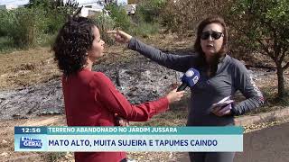 Terreno abandonado no Jardim Jussara: mato alto, muita sujeira e tapumes caindo