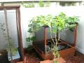 October Garden 2