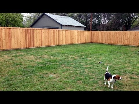 how to decide where to put a fence
