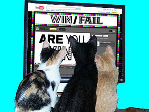 Imagen de previsualización de YouTube