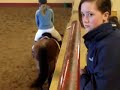 Showjumping 70 cm.. before the fall
