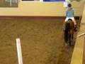 Showjumping 70 cm.. before the fall