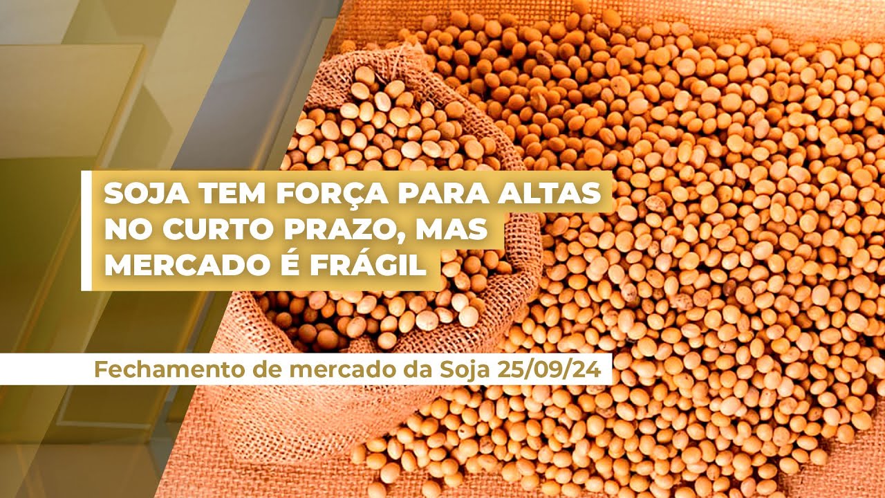 Soja: mais uma sessão de alta em Chicago com influencia do financeiro de olho nos EUA e China e c...