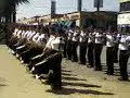 escorpiones 212