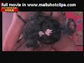Search Video